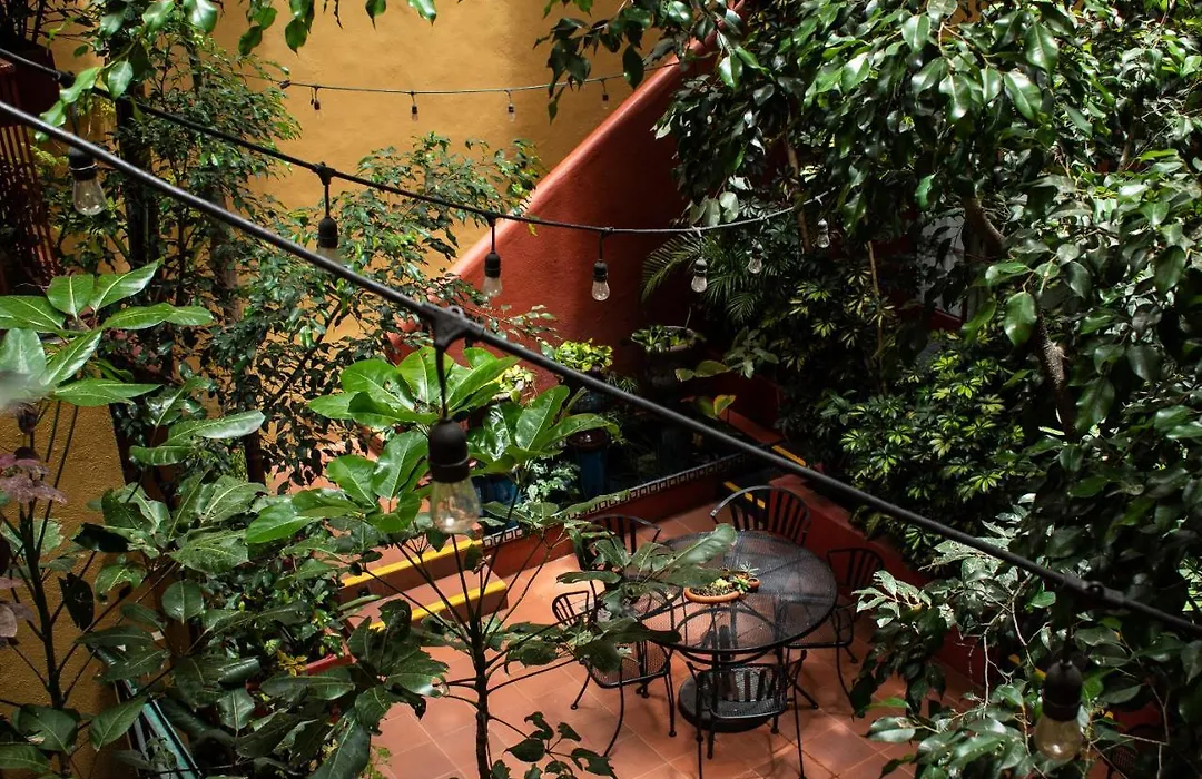 The Red Tree House-1