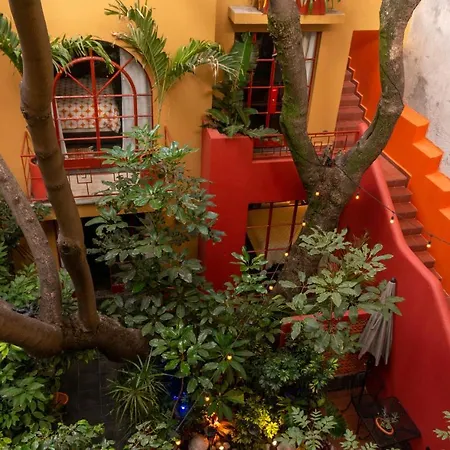 The Red Tree House-3